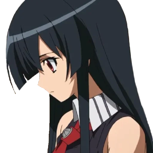 akame, akame ga, akame killer, personagens akam, akame akame killer