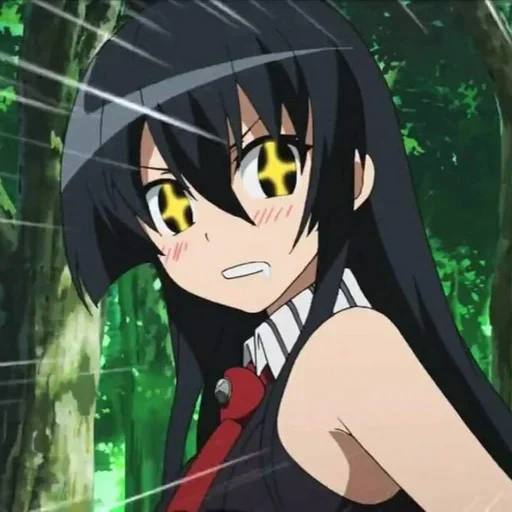 akamé, akame ga, anime akama, le tueur d'akamé, assassinat d'akamé akamé