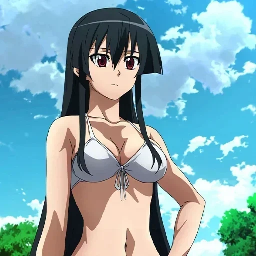 akame, akame ga, akame anime, akame killer