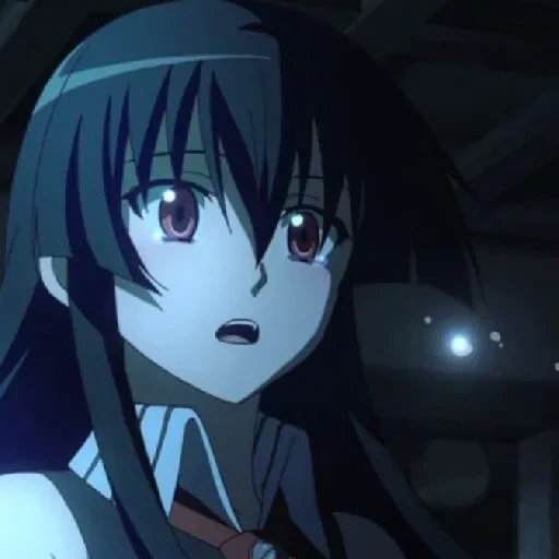 akamé, akame ga, anime akama, le meurtrier d'akamé, le meurtrier d'akusama kurosama