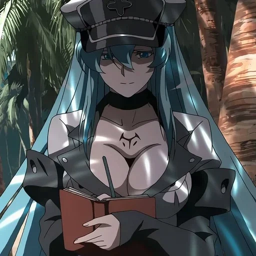 akame ga, генерал эсдес, akame ga kill эсдес, esdeath akame ga kill, убийца акаме генерал эсдес