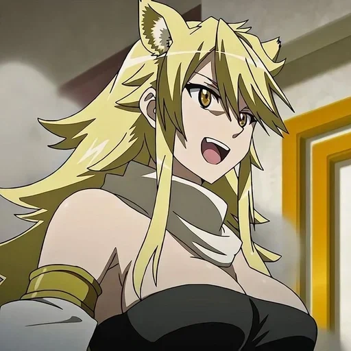 akame ga, леоне акаме, убийца акаме леоне, akame ga kill leone