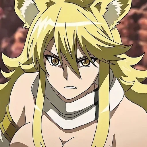 akame ga, леоне аниме, убийца акаме, убийца акаме леоне, akame ga kill leone