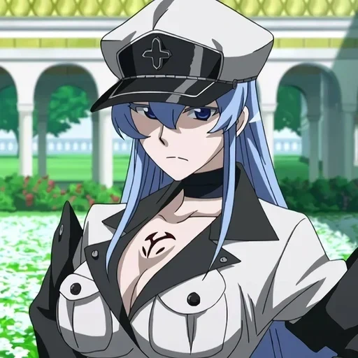 эсдес, эсдес аниме, esdeath akame ga kill, аниме убийца акаме эсдес, убийца акаме генерал эсдес