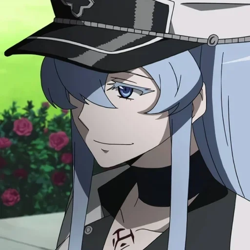 akame ga, убийца акаме, эсдес убийца акаме, esdeath akame ga kill, аниме убийца акаме эсдес