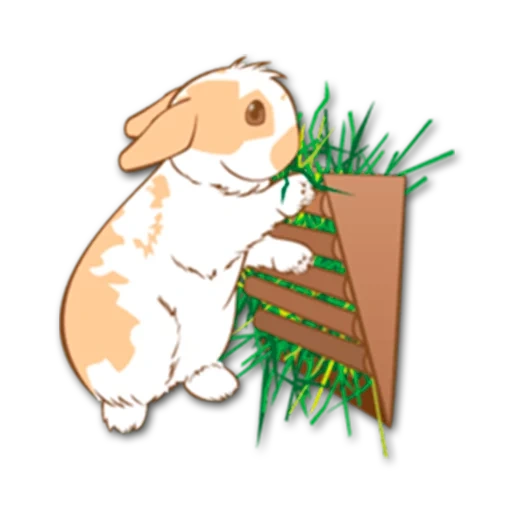 rabbit, cardboard rabbit, rabbit pattern, little rabbit, rabbit