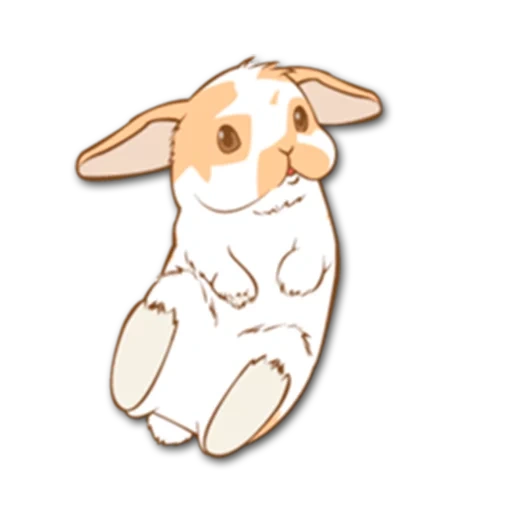 boceto de liebre, boceto de conejo, patrón de conejo, boceto de conejo, ilustración de conejo