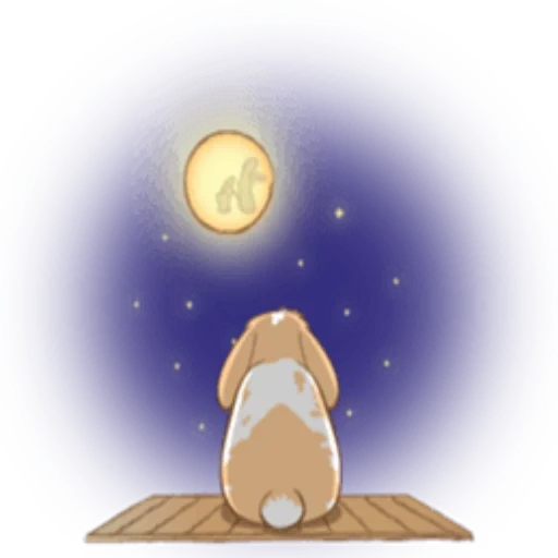 chat, humain, contexte de nuit, animaux mignons, animaux domestiques