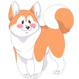 Akita