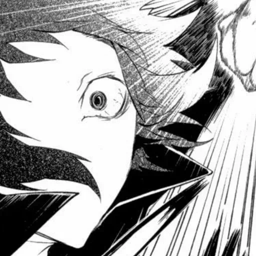 manga, manga blich, manga de javel, volume de javel 75, ichigo contre le manga kenpachi