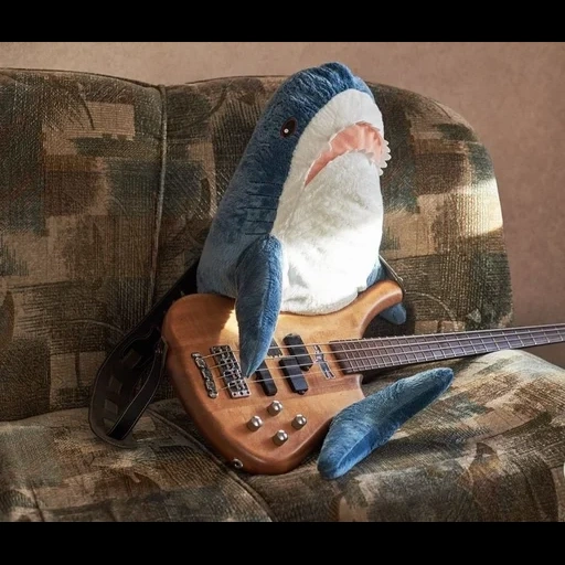 ikea shark, shark bulo sea, ikea shark guitar, ikea shark ukulele, yukiri new kuznetsk