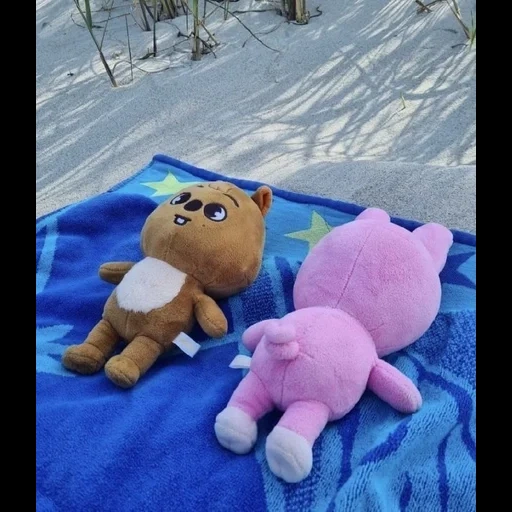 un giocattolo, giocattoli, orso 115 cm, giocattolo leggero, l'orso è dolce