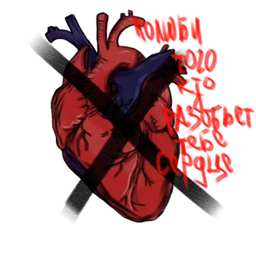 corazón órgano, corazón corazón, el corazón es real, corazón humano, el corazón humano es real