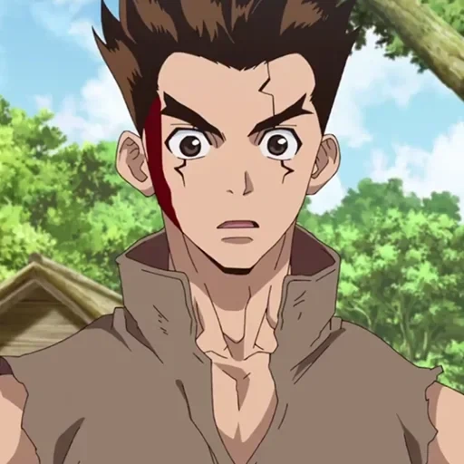 anime, dr stone, anime characters, dr stone tagge, taisu dr stone