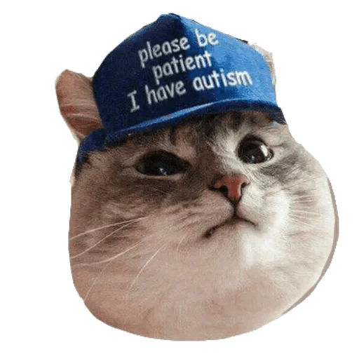 die katze, autism cat, katzenhut autismus, neujahrsmeme für katzen, please be patient i have autism