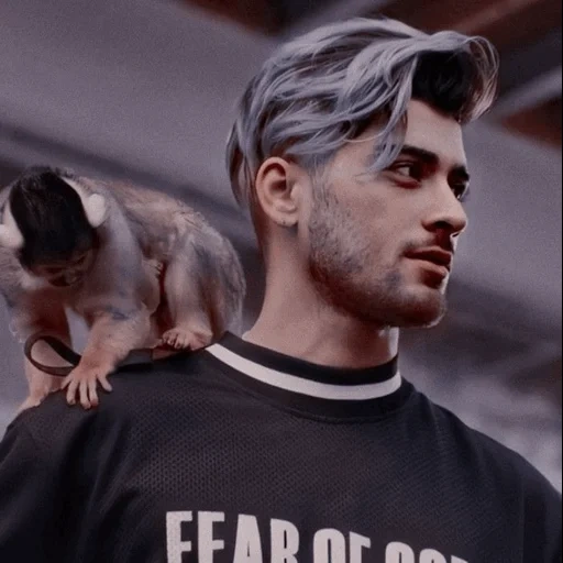 zayn masih punya waktu, zane malik, gaya rambut pria, louis tomlinson, zayn malik masih punya waktu