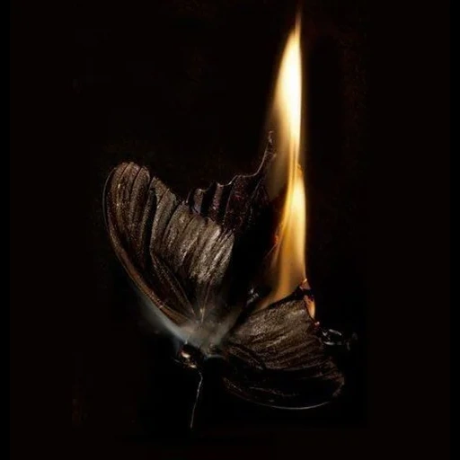 yandex.muzika, songa samba white moth, 2013 gorshenev-yesenin la muerte del poeta, música, alma