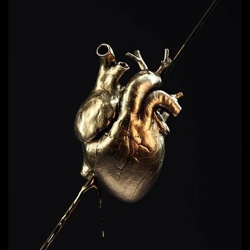 corazón humano, corazón anatómico, portada de la pista, corazón real, corazón humano