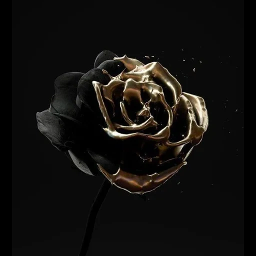 rosa nera, konoplev senza di te, sfondo nero estetico, specchio storto, la rosa rosa nera cover