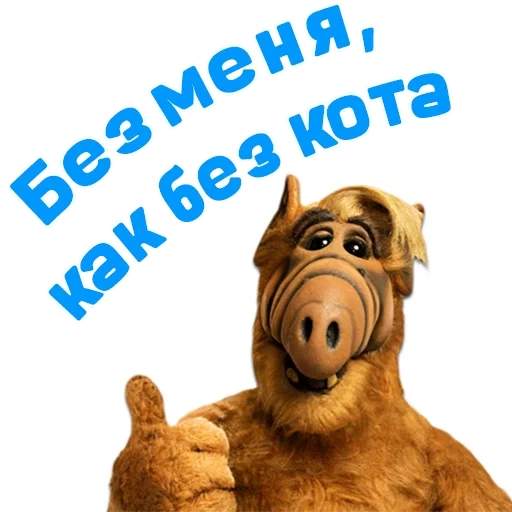 alf, alpha, alf e, alfedov msh2