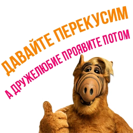 alf, alpha, alfedovoy ong in in 2