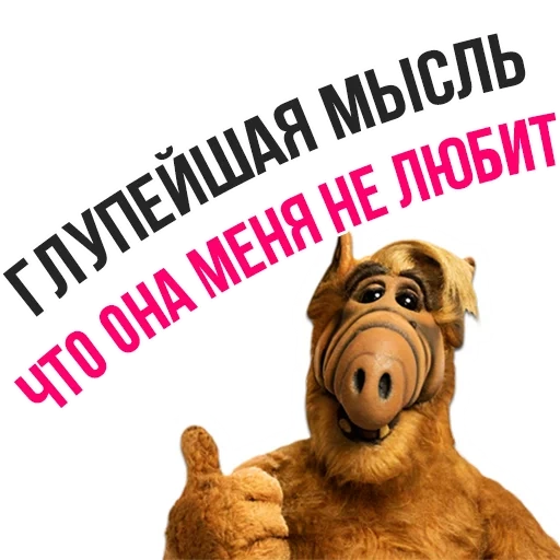 alf, alf e, avider alf, alfedov msh2