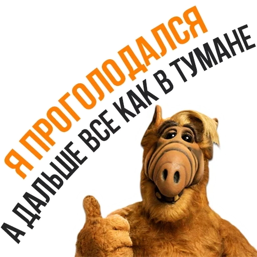 alf, alfa, alf wattsap, patch alfa, mãe alfa