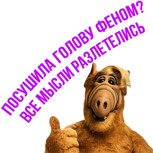 alf, alf e, alfom est obscène, la neige de l'année dernière est tombée