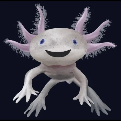 svetlana, ajolote, axolotl es blanco, pez axolotl, animal axolotle