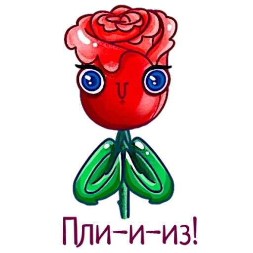 bunga mawar, mawar merah