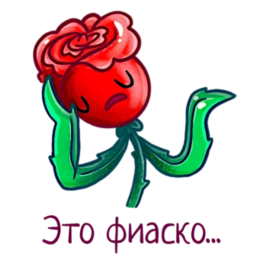 le rose, rosa rossa, fiore di vasap