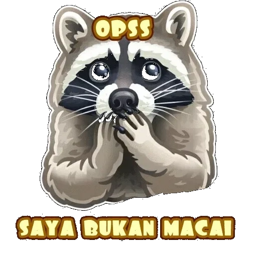 rakun, raccoon max, strip rakun, rakun tanpa latar belakang