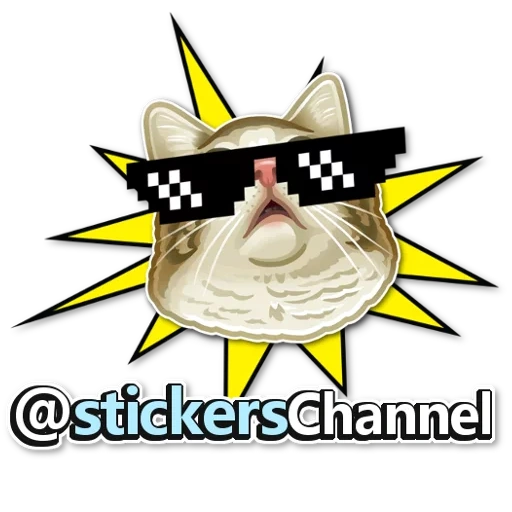 cat, caps, joke, channels, channel