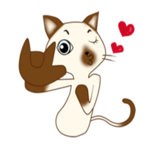 kucing, kucing, kucing lucu, anime binatang lucu, gambar anjing laut yang indah