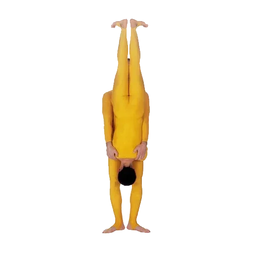 postura de yoga, hilshasana, estilo de yoga, corpo humano, shirshasana ray long