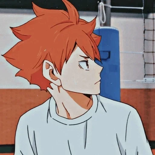 shuringin, shoyo hinata, anime haikyuu, hinata shouyou, hinata de vôlei de mangá