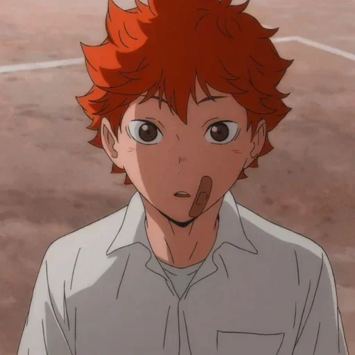 haikyuu, хината шоё, hinata shoyo, танака хината, хината волейбол