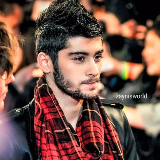 zane, zayn, hombre, zanin malik, cantante masculino