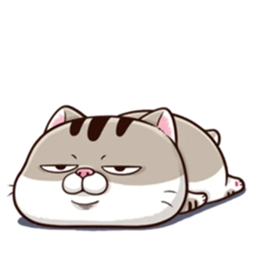 fat cat, ami fat cat, charmant phoque, downold ami fat cat 98 x95