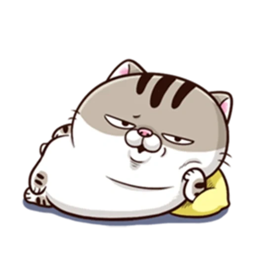 katzen, ami fat cat, süße katzen, die katze ist fett, download ami fat cat 98 x95