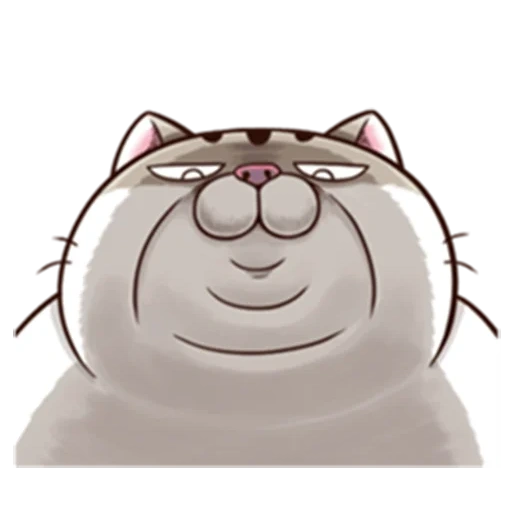 fat cat, fat cat, ami fat cat, fat cat ami, the cat is fat