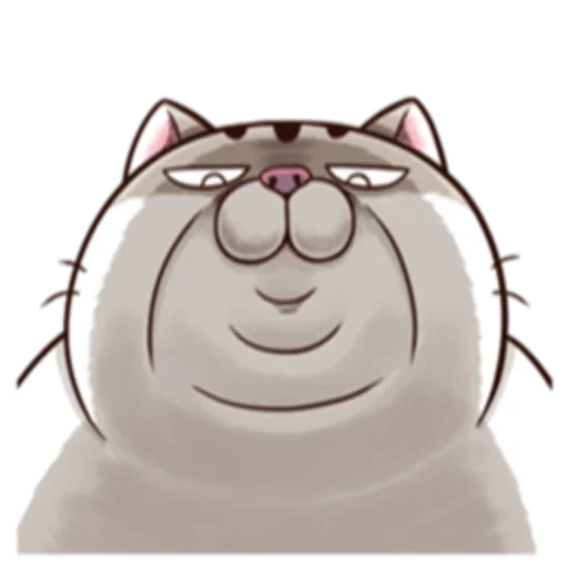 жирный кот, толстый кот, ami fat cat, толстый кот ami, кот ами толстый