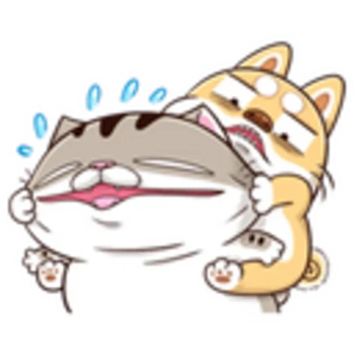kucing gendut, ami fat cat, anjing laut yang lucu, animasi segel