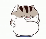 кот, ami cat, толстый кот, ami fat cat