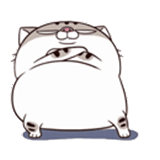 ami fat cat, толстый кот, толстый котик, кот ами толстый, толстый кот анимация