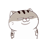 cat, ami fat cat, кошки милые, толстый котик, котики анимация