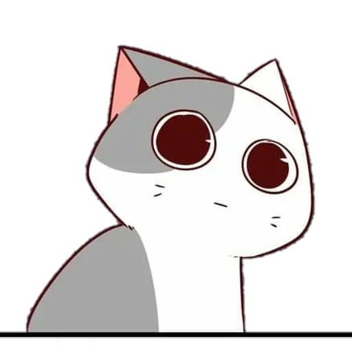 seal, cat, cartoon cat, baby seal, colorful cat animation