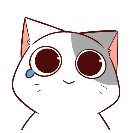 anjing laut kecil, anime kucing, anjing laut kecil, anime kucing lucu, anime kucing berwarna-warni