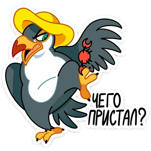 aves, pollo, animal, ilustraciones, pollo gallo