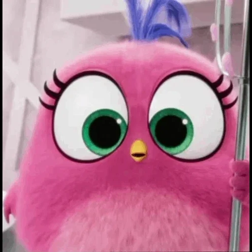 angry birds, film angry birds, engri bird 2 polli, pollo engribertz